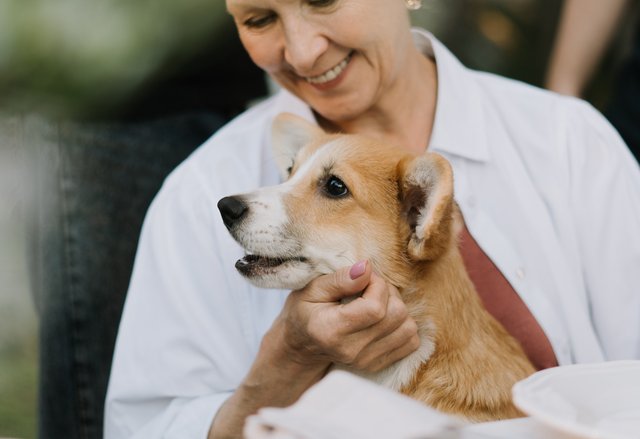 Pets for Seniors - SCVets Care Foundation 